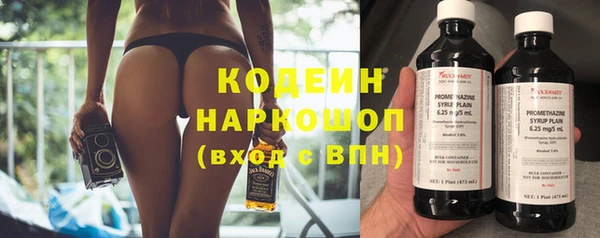 прущий лед Гусев