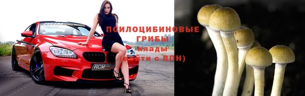 трава Гусь-Хрустальный
