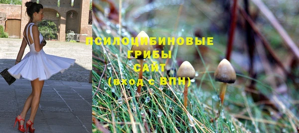 ПСИЛОЦИБИНОВЫЕ ГРИБЫ Гусиноозёрск